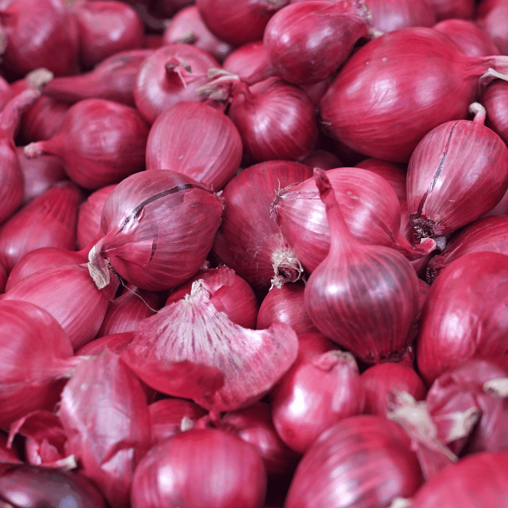 export quality onion from nashik