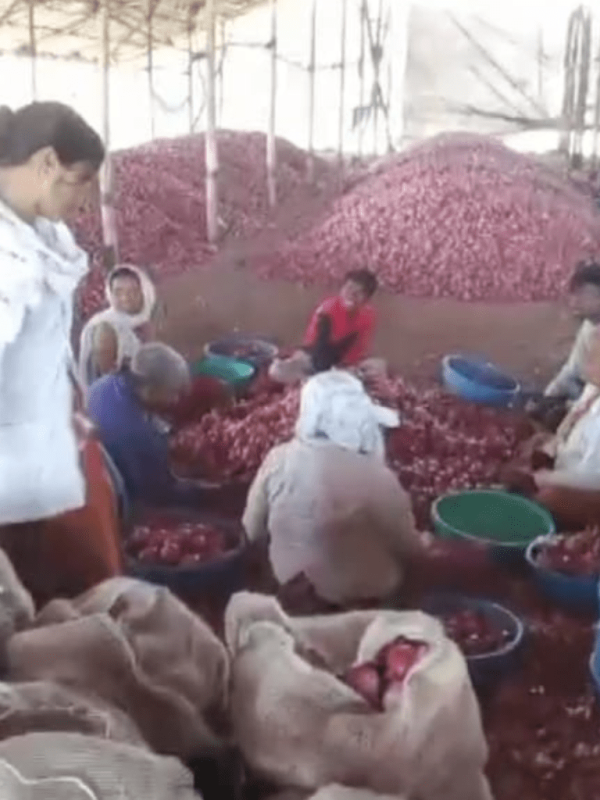 onion traders from nashik